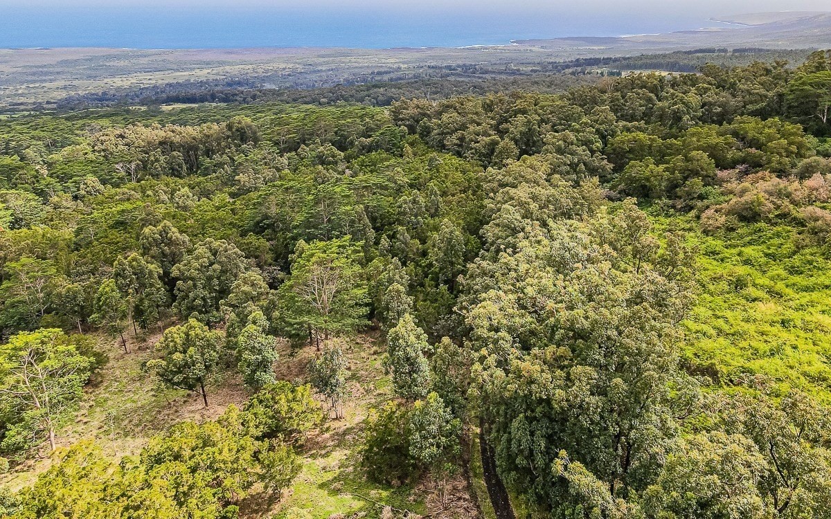 Big Island Listing Image
