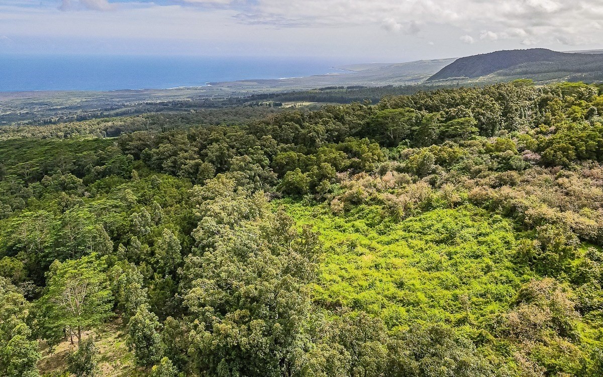 Big Island Listing Image