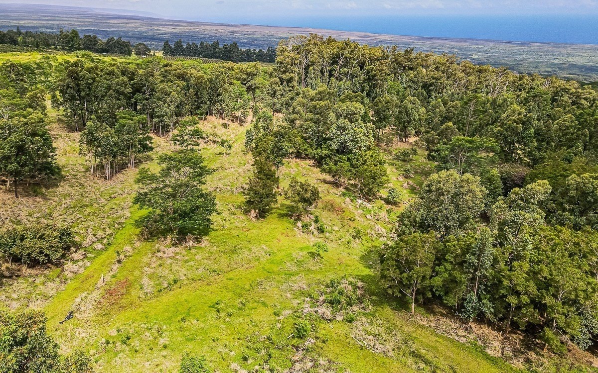 Big Island Listing Image