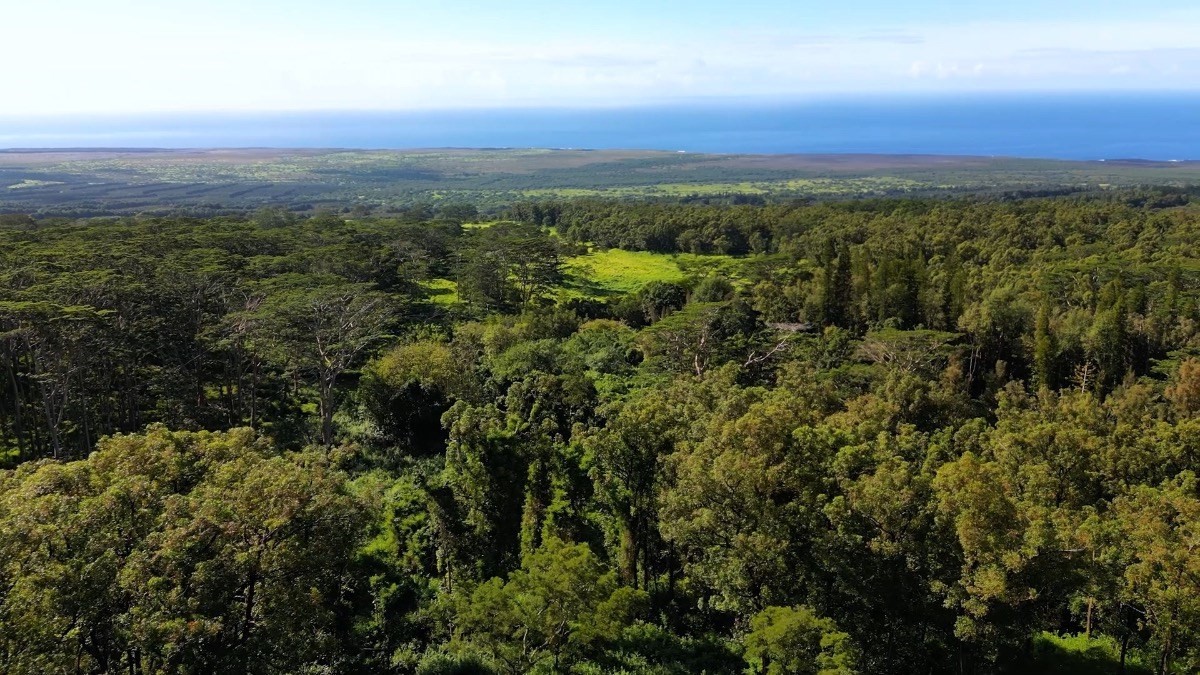 Big Island Listing Image