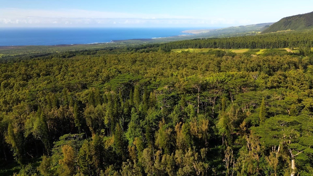 Big Island Listing Image