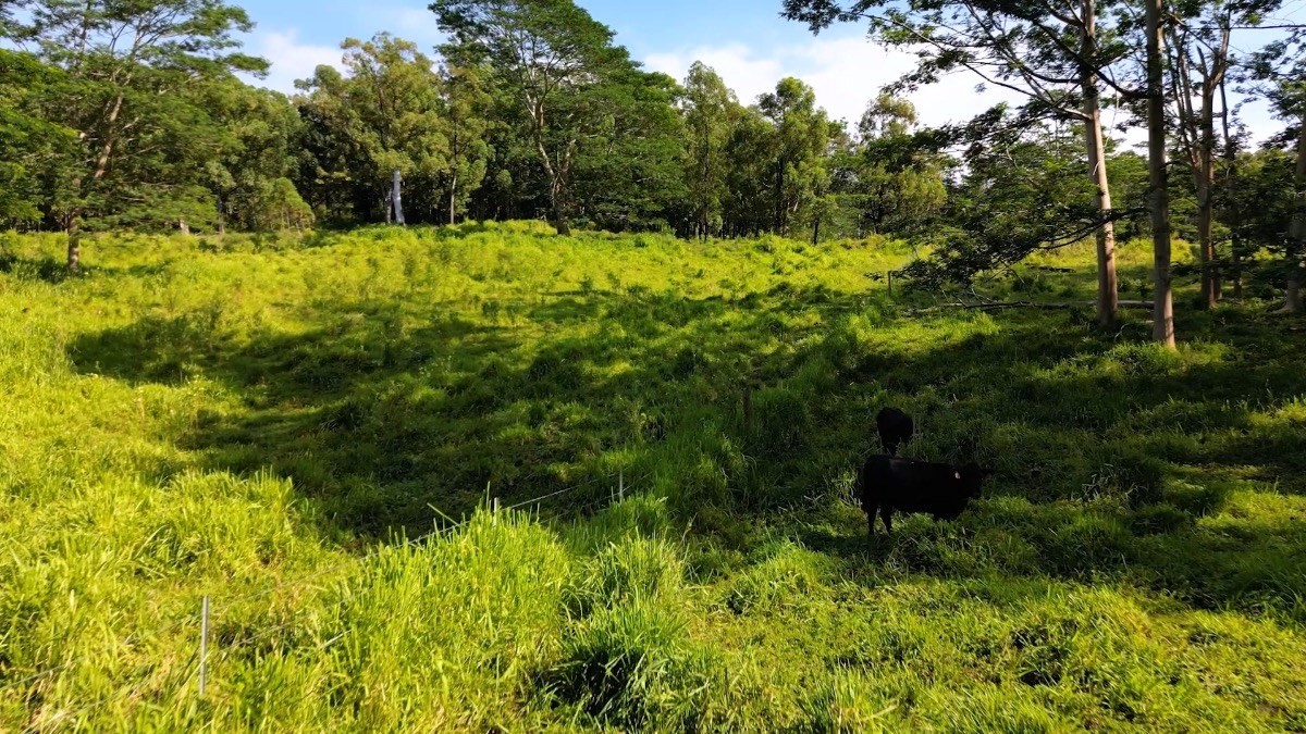 Big Island Listing Image