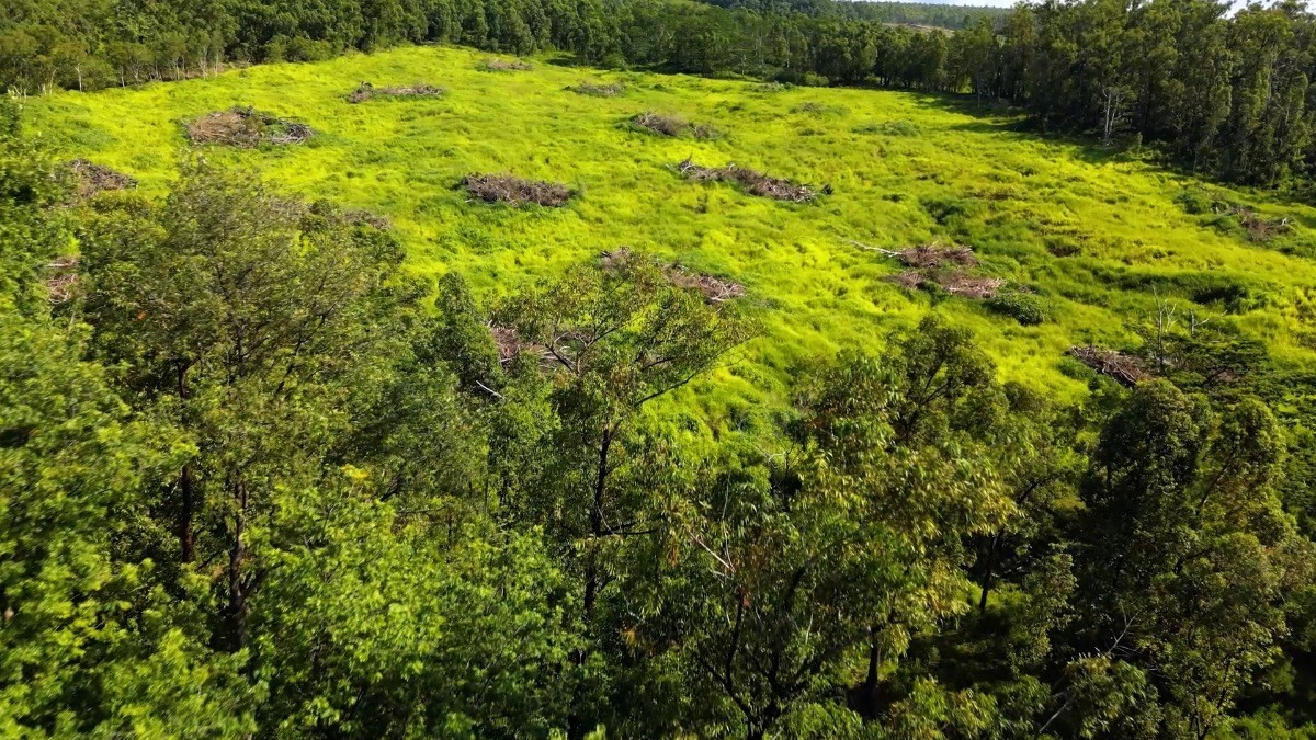 Big Island Listing Image