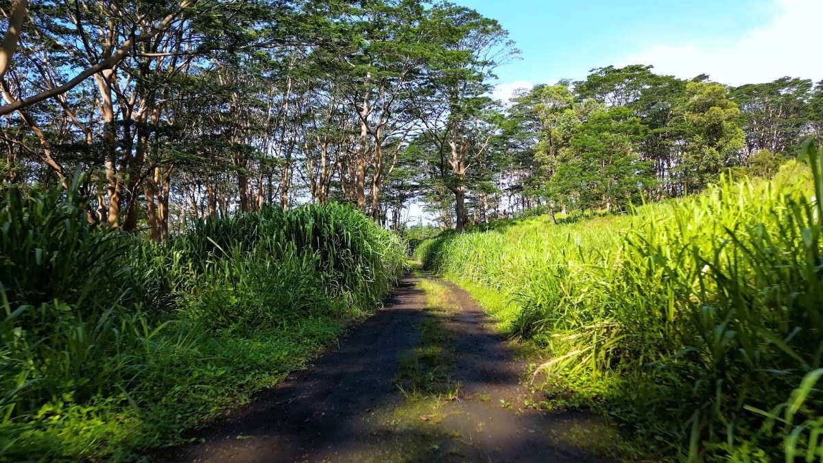 Big Island Listing Image