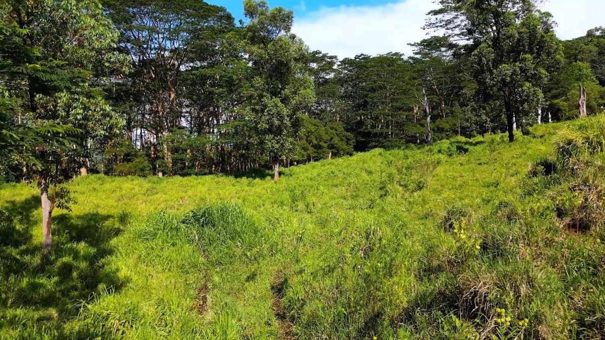 Big Island Listing Image