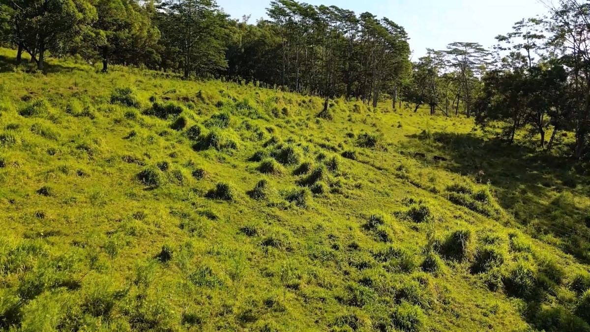 Big Island Listing Image