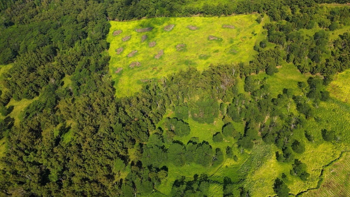 Big Island Listing Image