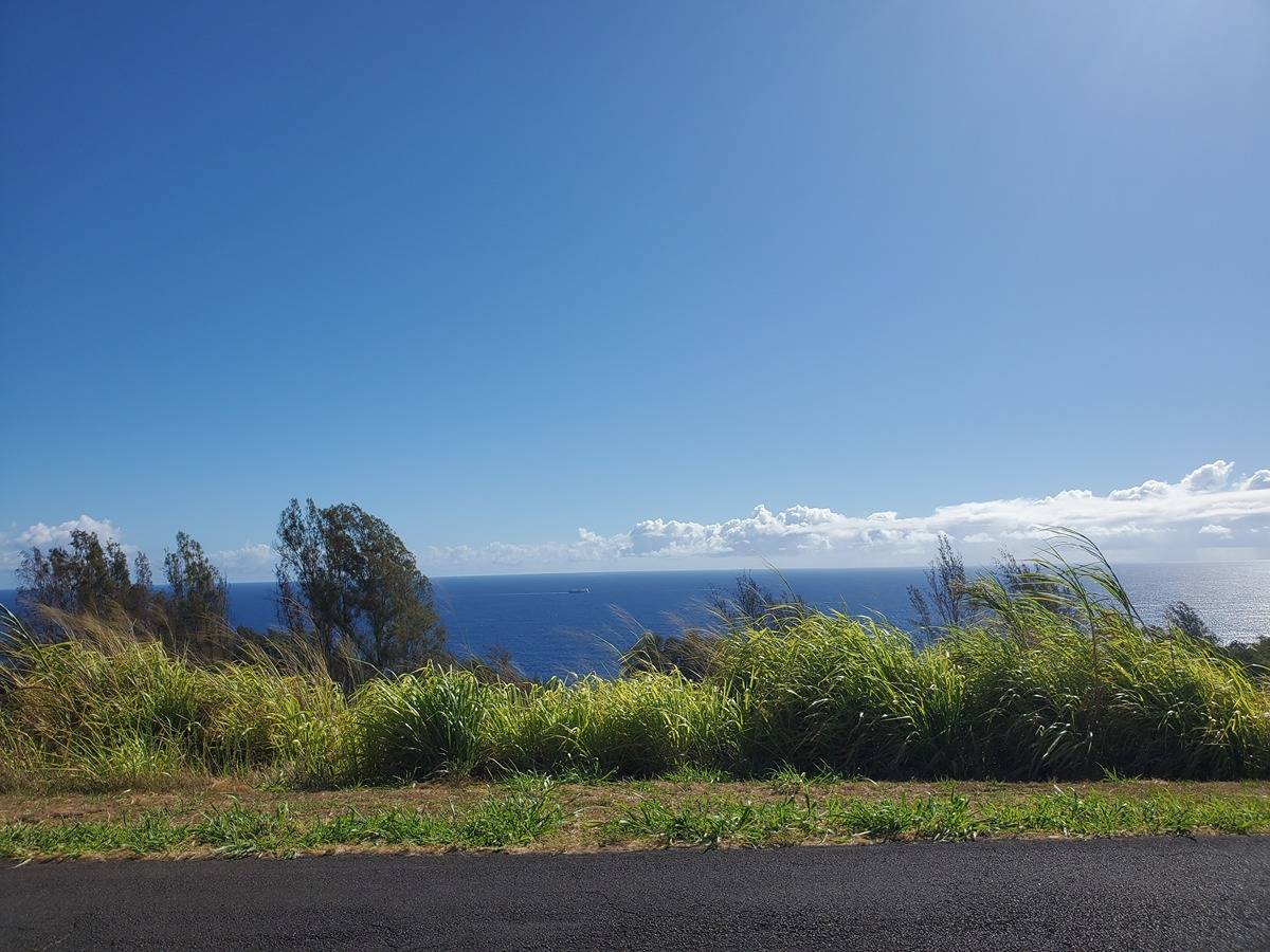 39-3195 OLD MAMALAHOA HIGHWAY OOKALA HI 96774