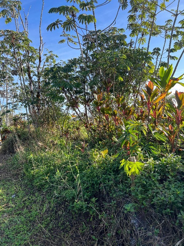 16-1377 KOLOA MAOLI RD KURTISTOWN HI 96760