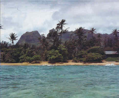 5032 ALIOMANU RD, ANAHOLA, HI, 96703, USA