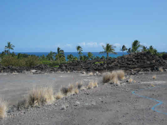 ULUWEUWEU HEMA PL, Kailua Kona, HI 96740