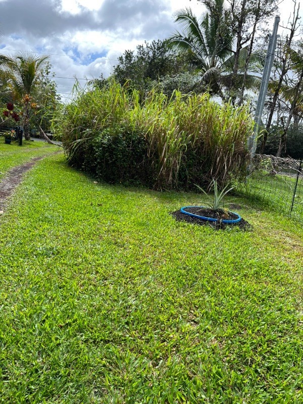 Big Island Listing Image