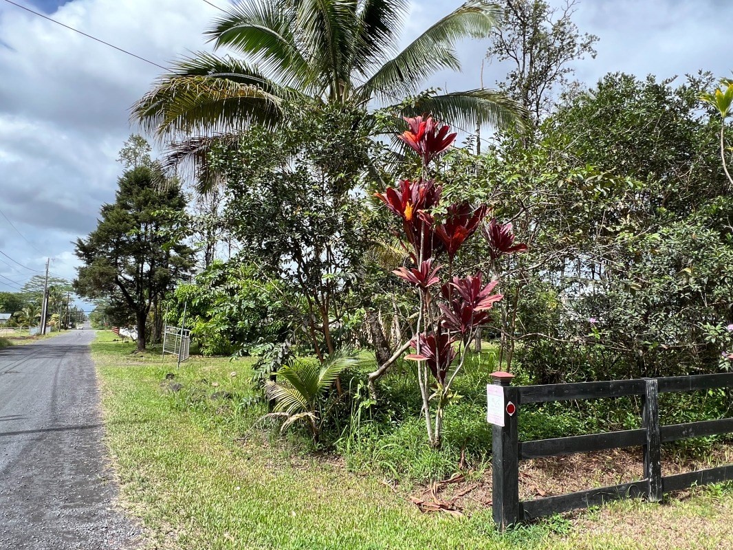 Big Island Listing Image