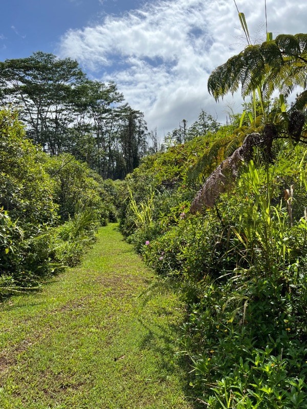 Big Island Listing Image