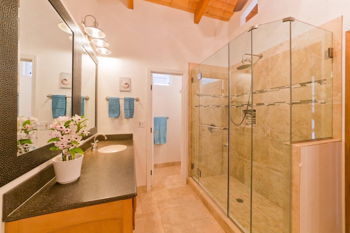 Big Island Listing Image