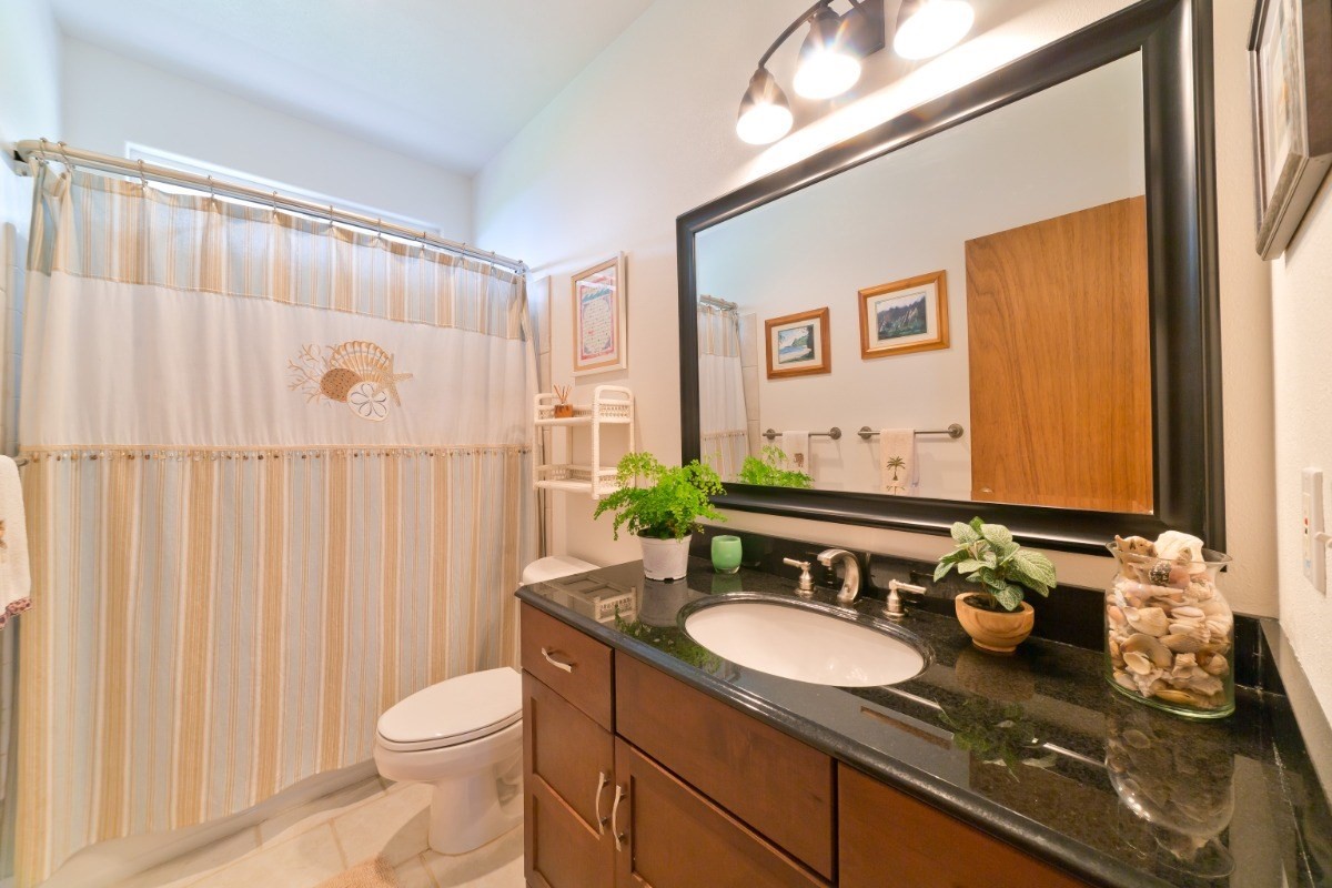 Big Island Listing Image