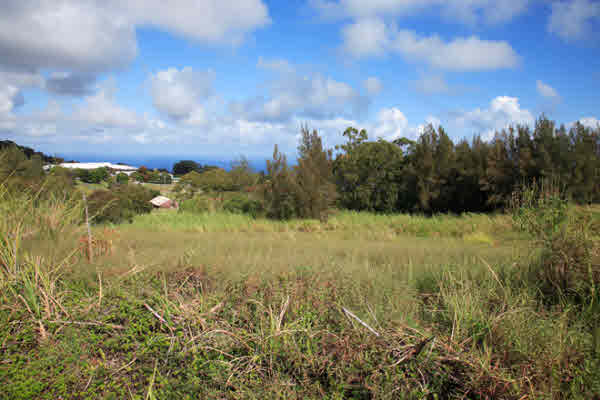 0000 Lehua Street, HONOKAA, HI, 96727, USA