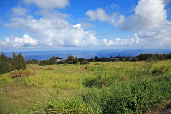 Lehua Street, HONOKAA, HI, 96727, USA