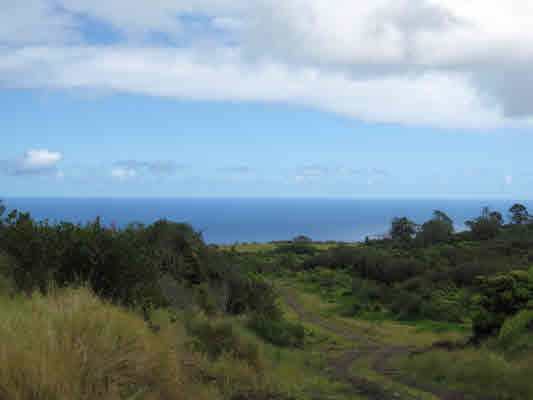 100 Acres of Spectacular Hamakua Property with Ocean Views, North Hilo, Big Island of Hawaii 
