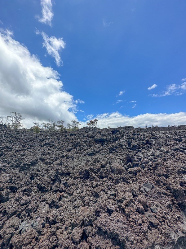 Big Island Listing Image