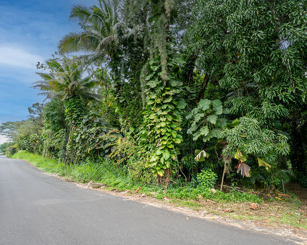 19TH AVE KEAAU HI 96749