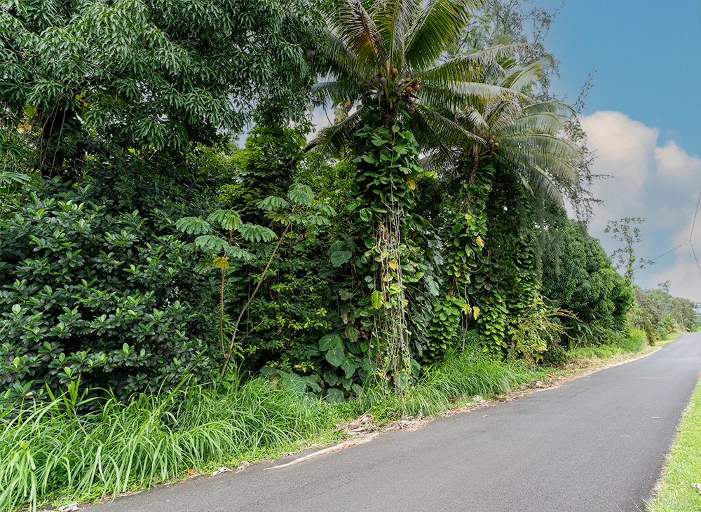 19TH AVE KEAAU HI 96749
