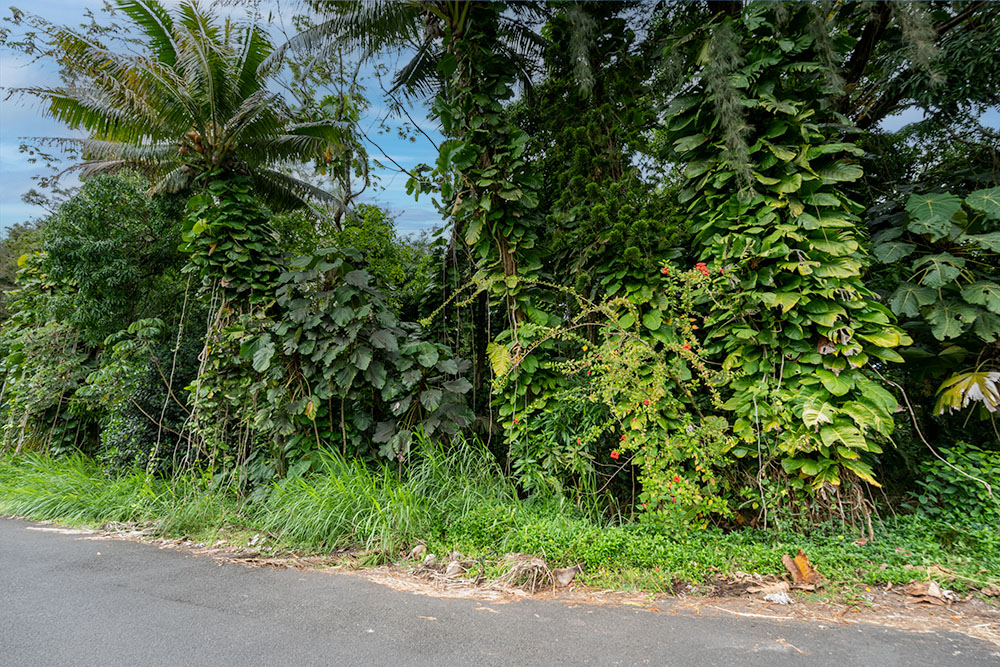 19TH AVE KEAAU HI 96749