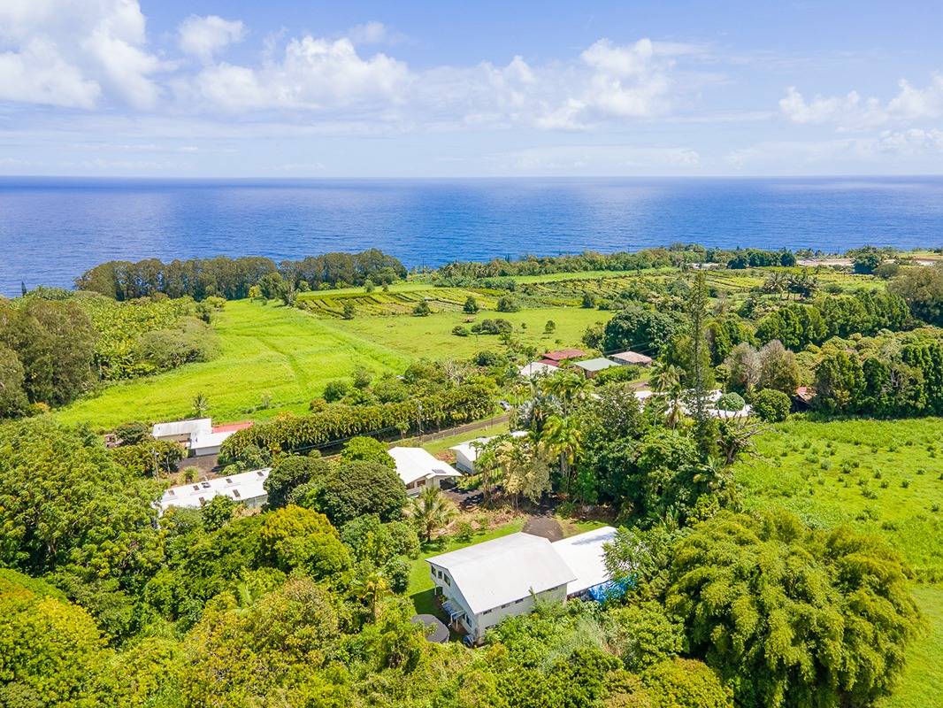 31-469 OLD MAMALAHOA HIGHWAY NINOLE HI 96773