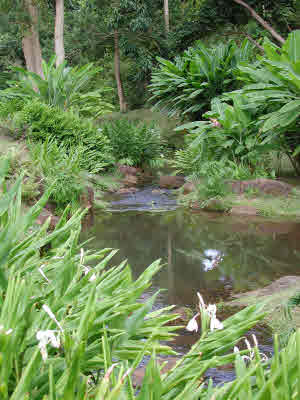 6200 HAUIKI RD, KAPAA, HI, 96746, USA