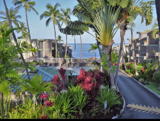 Big Island Listing Image