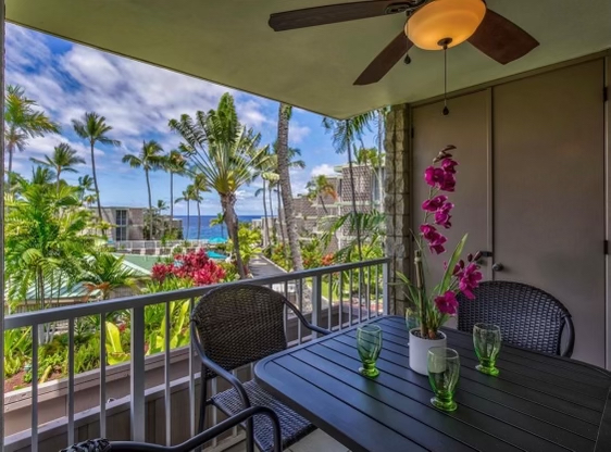 Big Island Listing Image