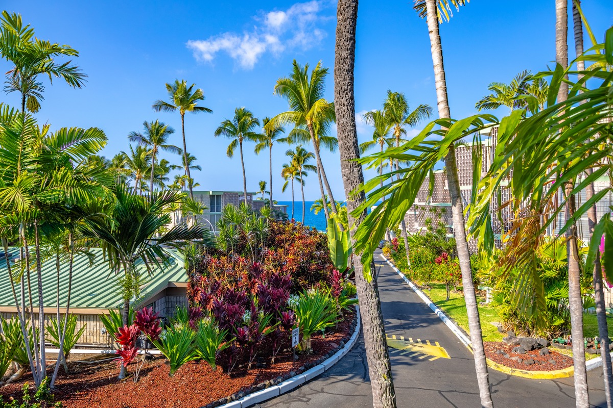 Big Island Listing Image