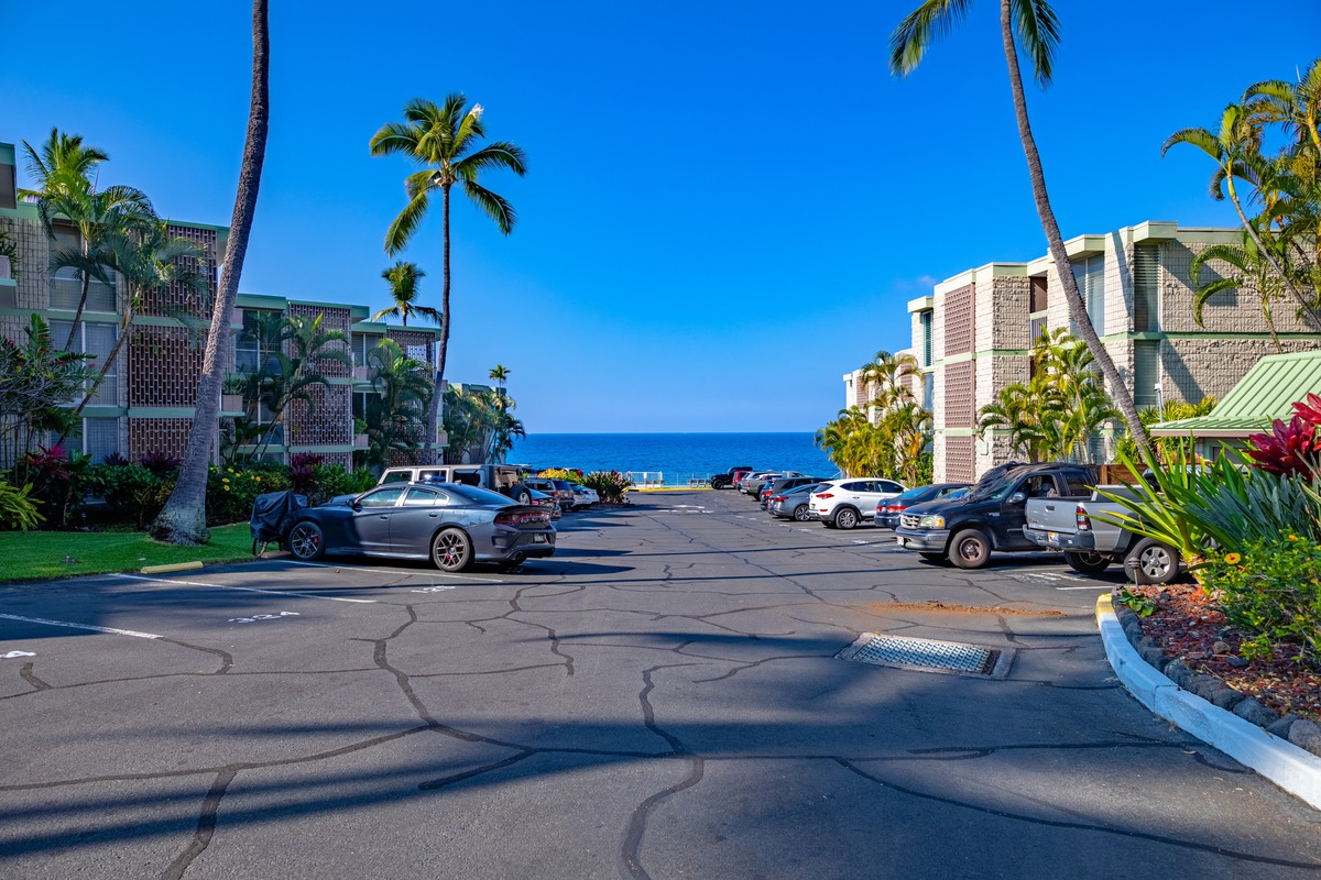 Big Island Listing Image