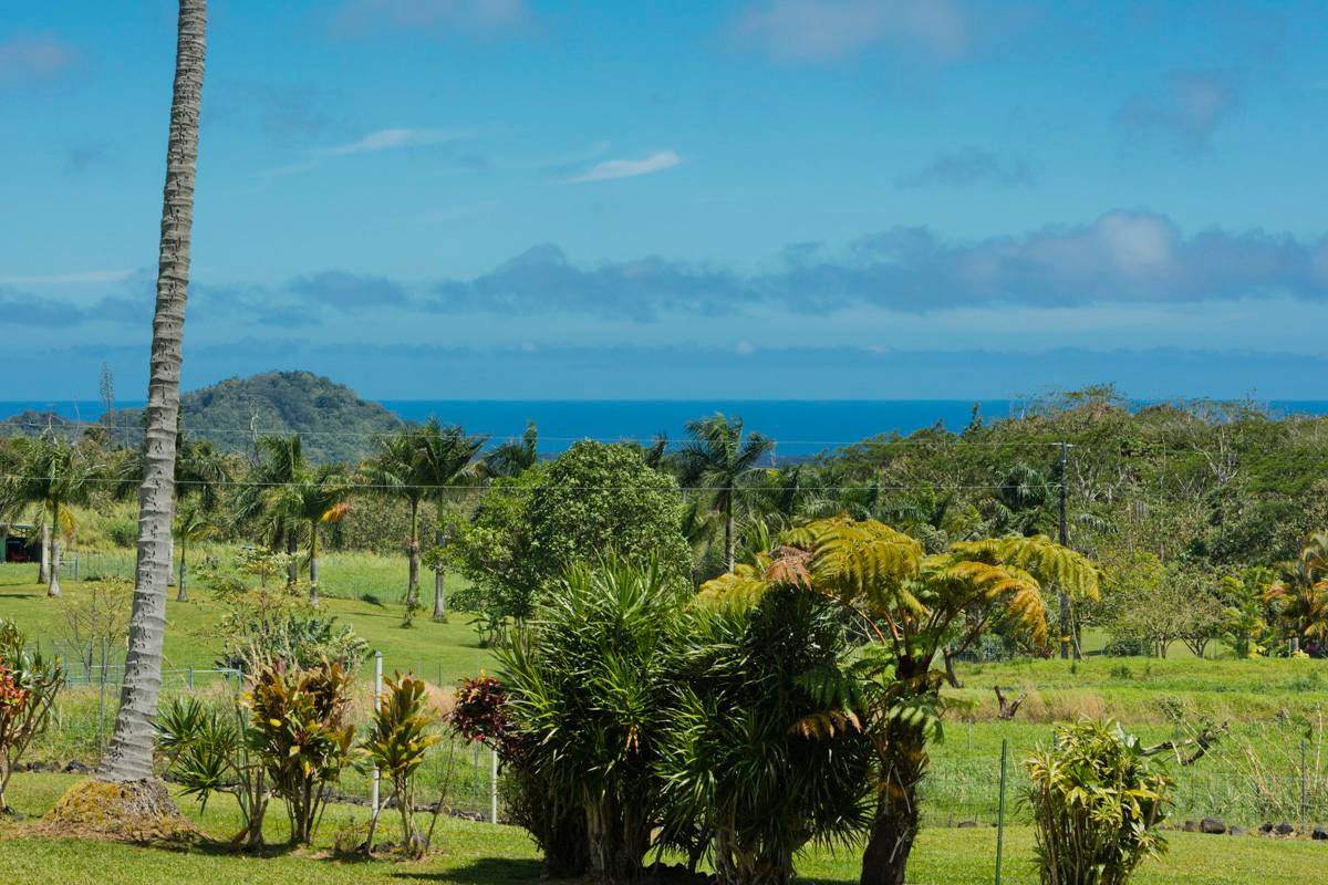 14-4115 PAHOA KAPOHO RD PAHOA HI 96778