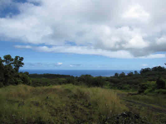 48.9 Acres of Forest, North Hilo, Hamakua, Island of Hawaii