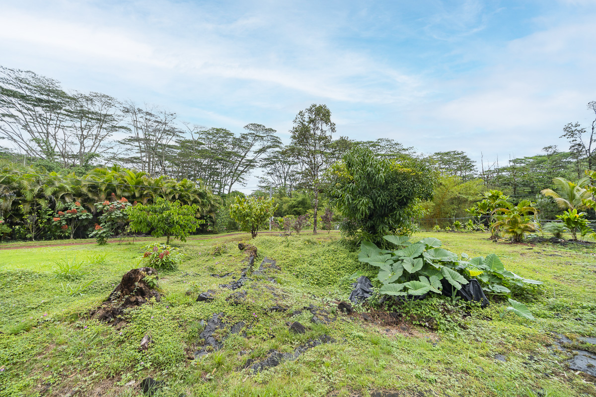 Big Island Listing Image