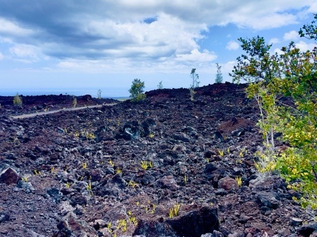 Big Island Listing Image