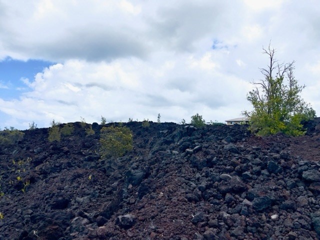 Big Island Listing Image