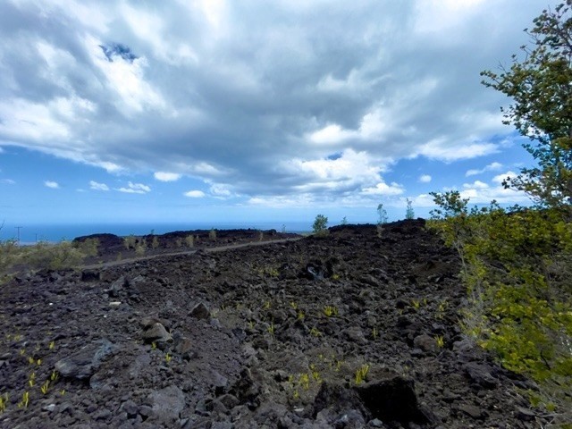 Big Island Listing Image