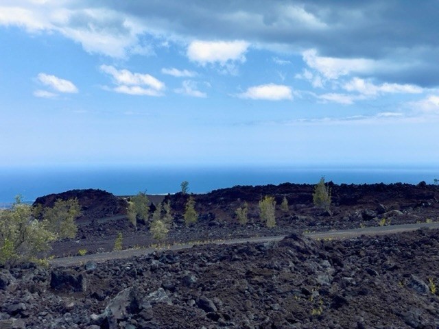 Big Island Listing Image