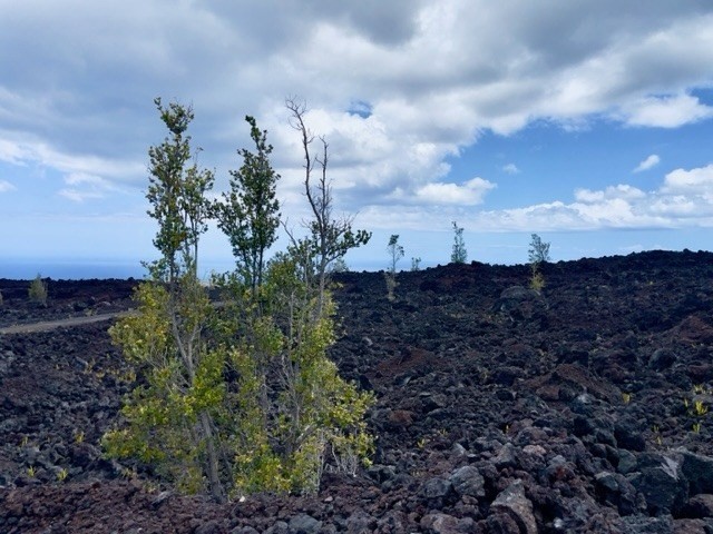 Big Island Listing Image