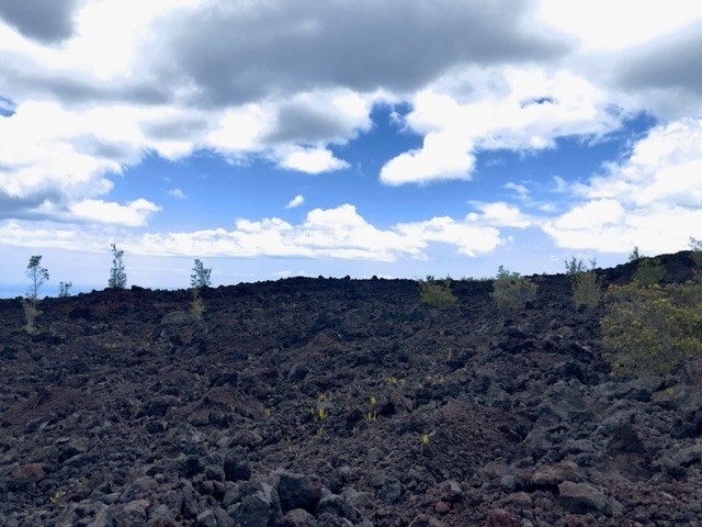 Big Island Listing Image