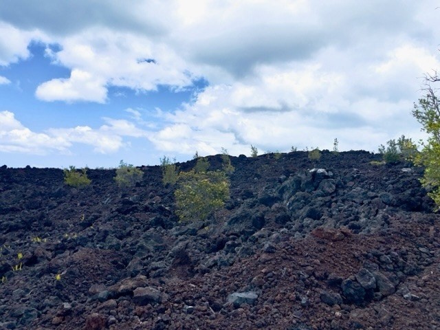 Big Island Listing Image