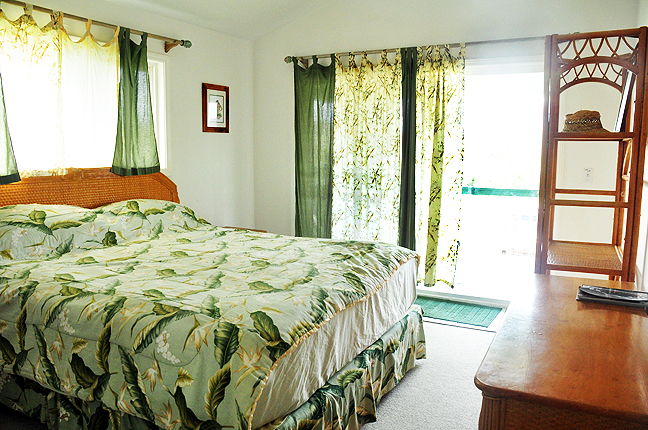 4-1176 KUHIO HWY #B KAPAA HI 96746