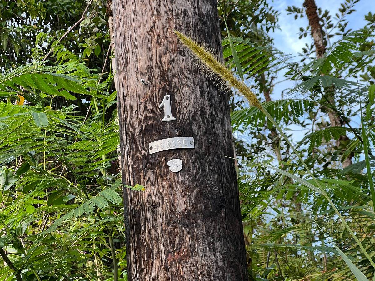 HAWAII RD PAHOA HI 96778