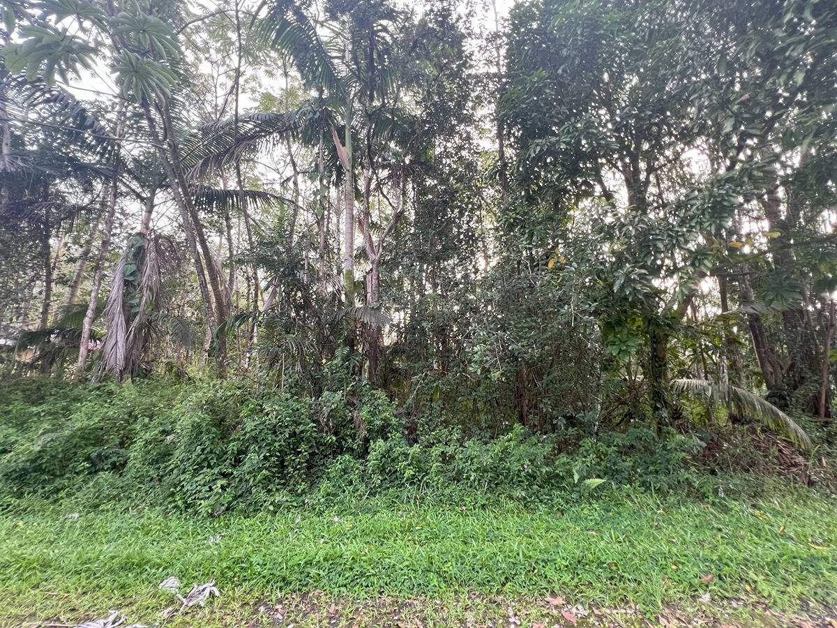 HAWAII RD PAHOA HI 96778