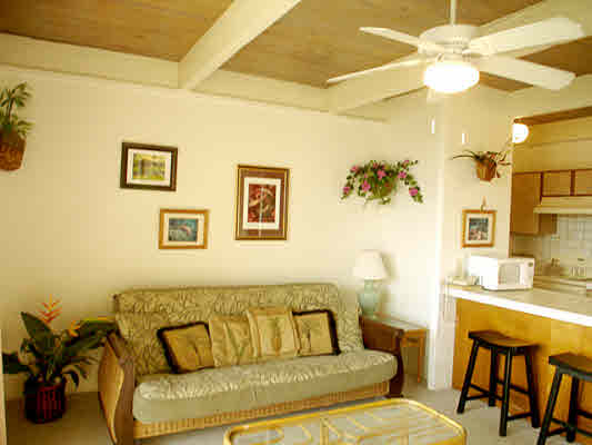 MLS No. 246176 - North Kona Condominium For Sale