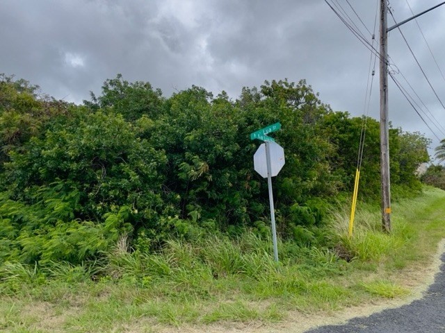 Big Island Listing Image