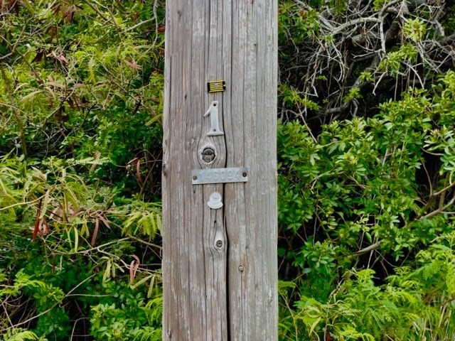 Big Island Listing Image