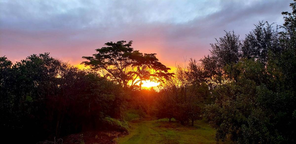 27-600 LA RD PAPAIKOU HI 96781